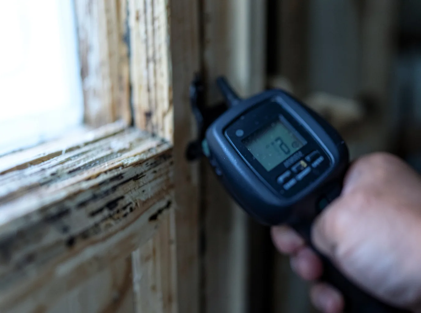 Moisture Inspection And Documentation in Melrose, WI